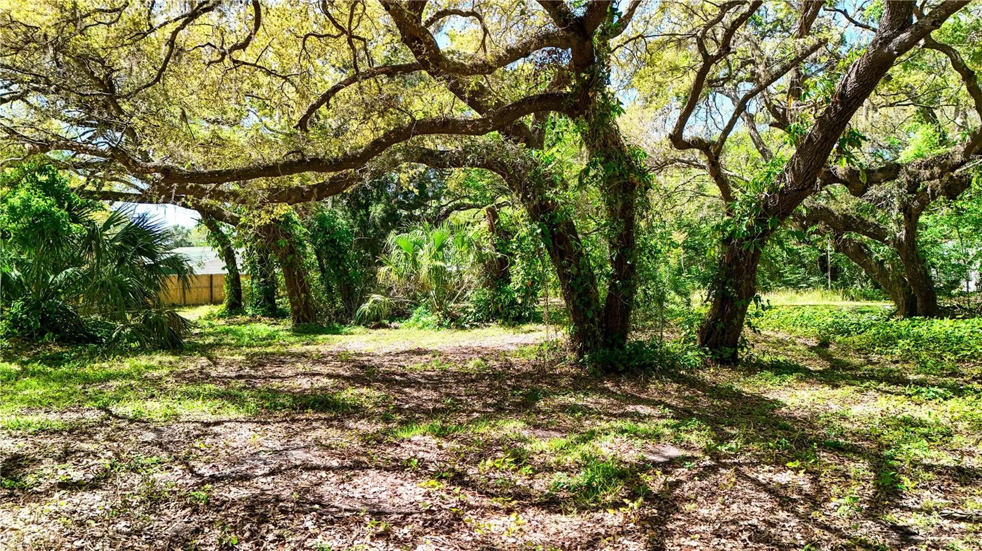 9240 Creston Avenue New Port Richey FL 34654
