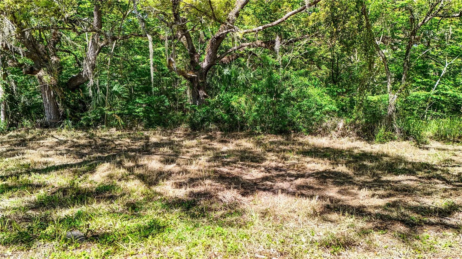 9240 Creston Avenue New Port Richey FL 34654