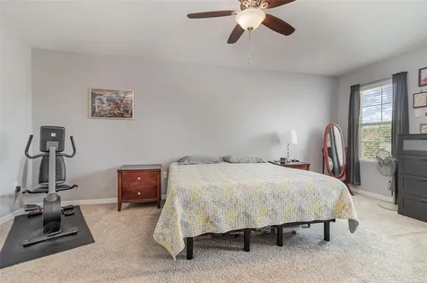 9731 Pepper Tree Trail Wildwood FL 34785