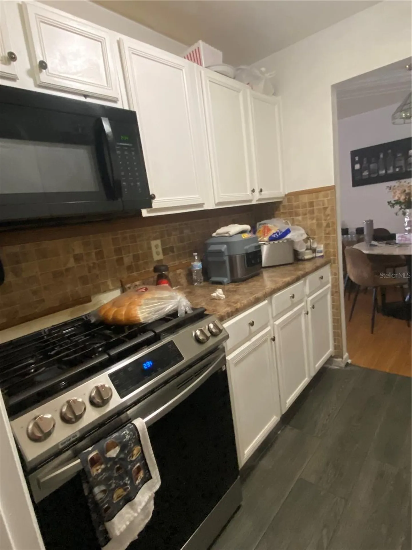 15159 SW 43rd Terrace Road Ocala FL 34473