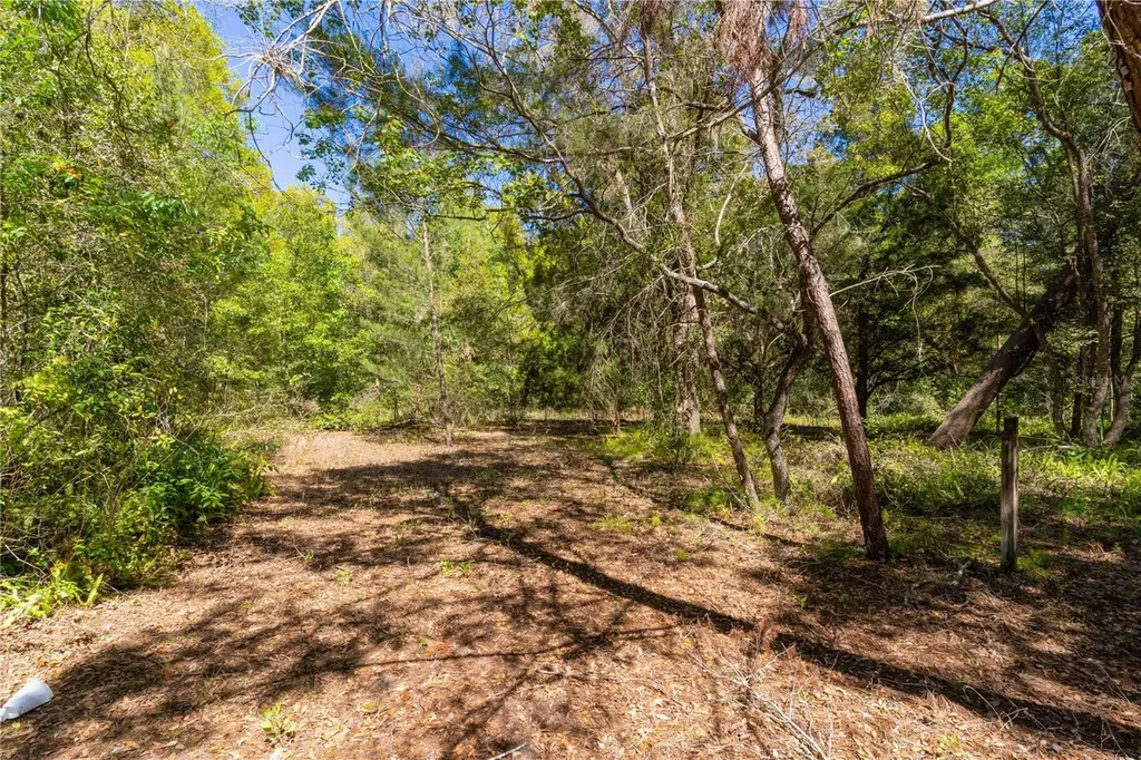 801 Kilgore Street Wildwood FL 34785
