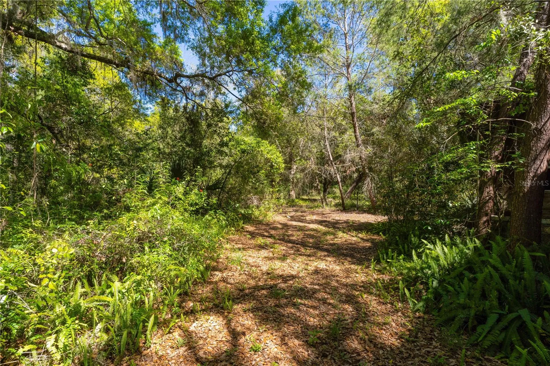 801 Kilgore Street Wildwood FL 34785
