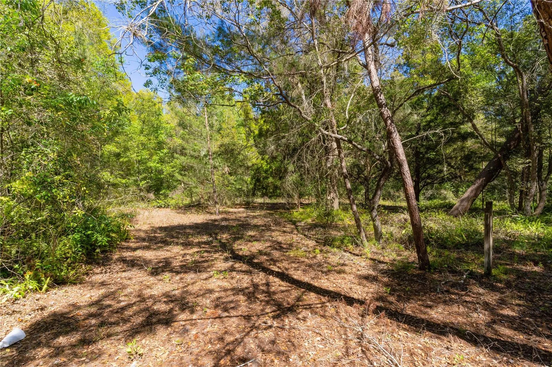 801 Kilgore Street Wildwood FL 34785