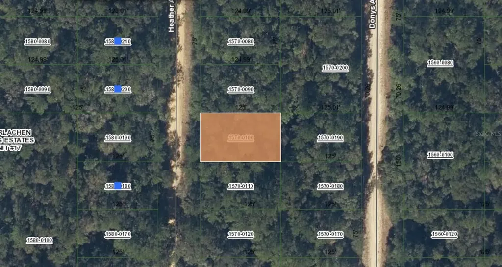 00 Heather Avenue Interlachen FL 32148