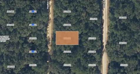 00 Heather Avenue Interlachen FL 32148