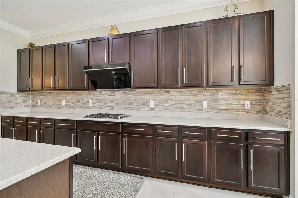 2709 Coco Palm Circle Wesley Chapel FL 33543