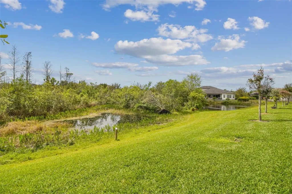 2709 Coco Palm Circle Wesley Chapel FL 33543
