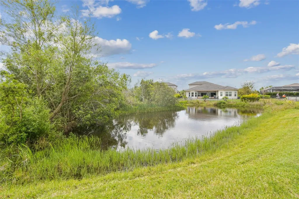 2709 Coco Palm Circle Wesley Chapel FL 33543