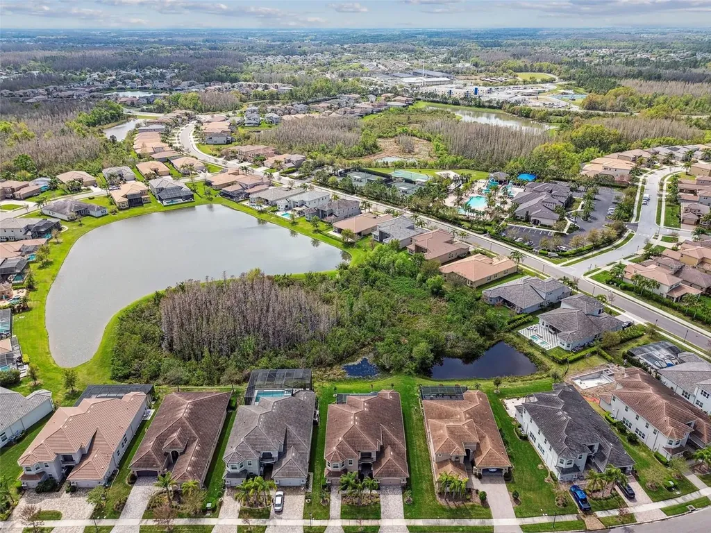 2709 Coco Palm Circle Wesley Chapel FL 33543