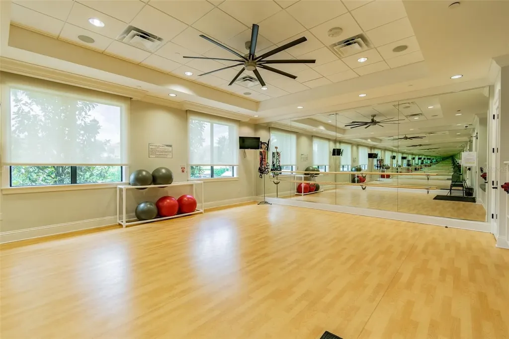 2709 Coco Palm Circle Wesley Chapel FL 33543