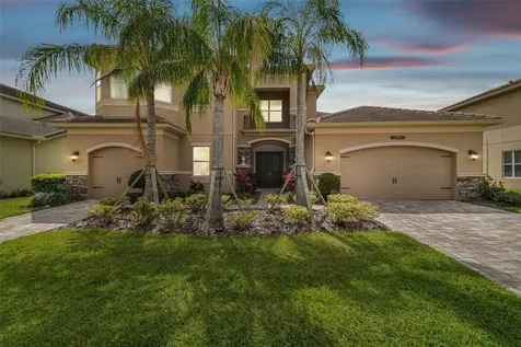 2709 Coco Palm Circle Wesley Chapel FL 33543