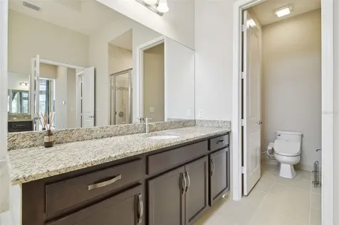 2709 Coco Palm Circle Wesley Chapel FL 33543