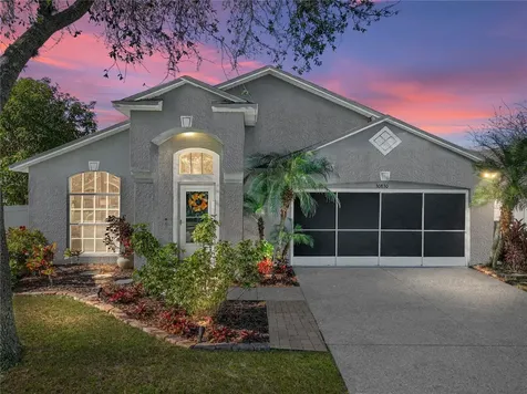 30830 Birdhouse Drive Wesley Chapel FL 33545