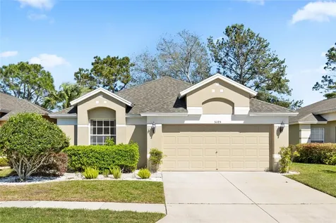 5105 Gato Del Sol Circle Wesley Chapel FL 33544