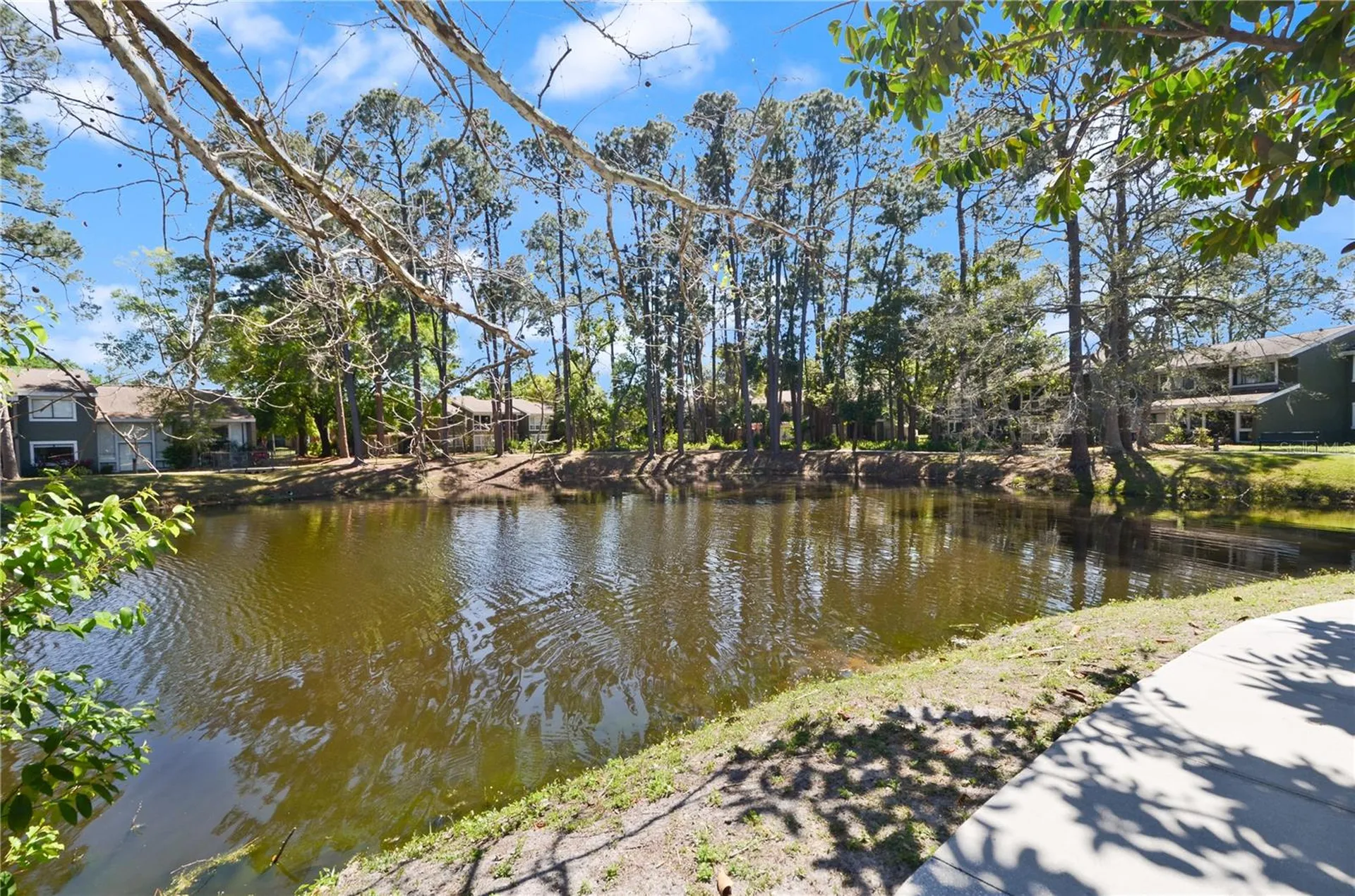 6114 Peregrine Avenue Orlando FL 32819