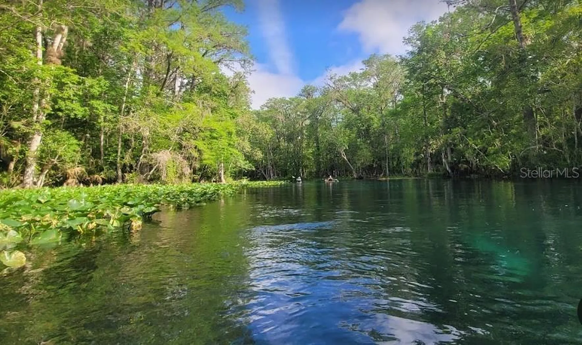 Lot 1 Locust Pass Course Ocala FL 34472