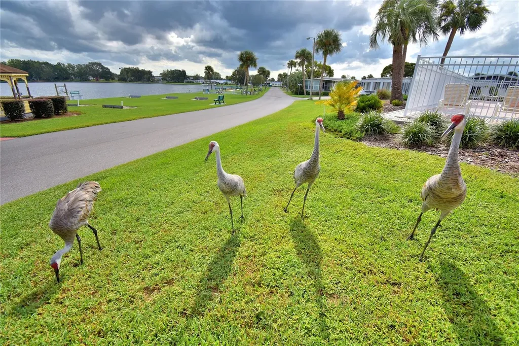 4555 Redwood Street Winter Haven FL 33880