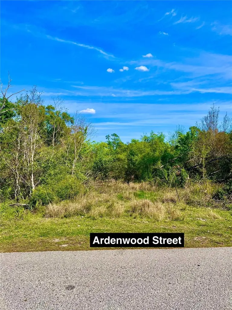 Ardenwood Street Tampa FL 33625