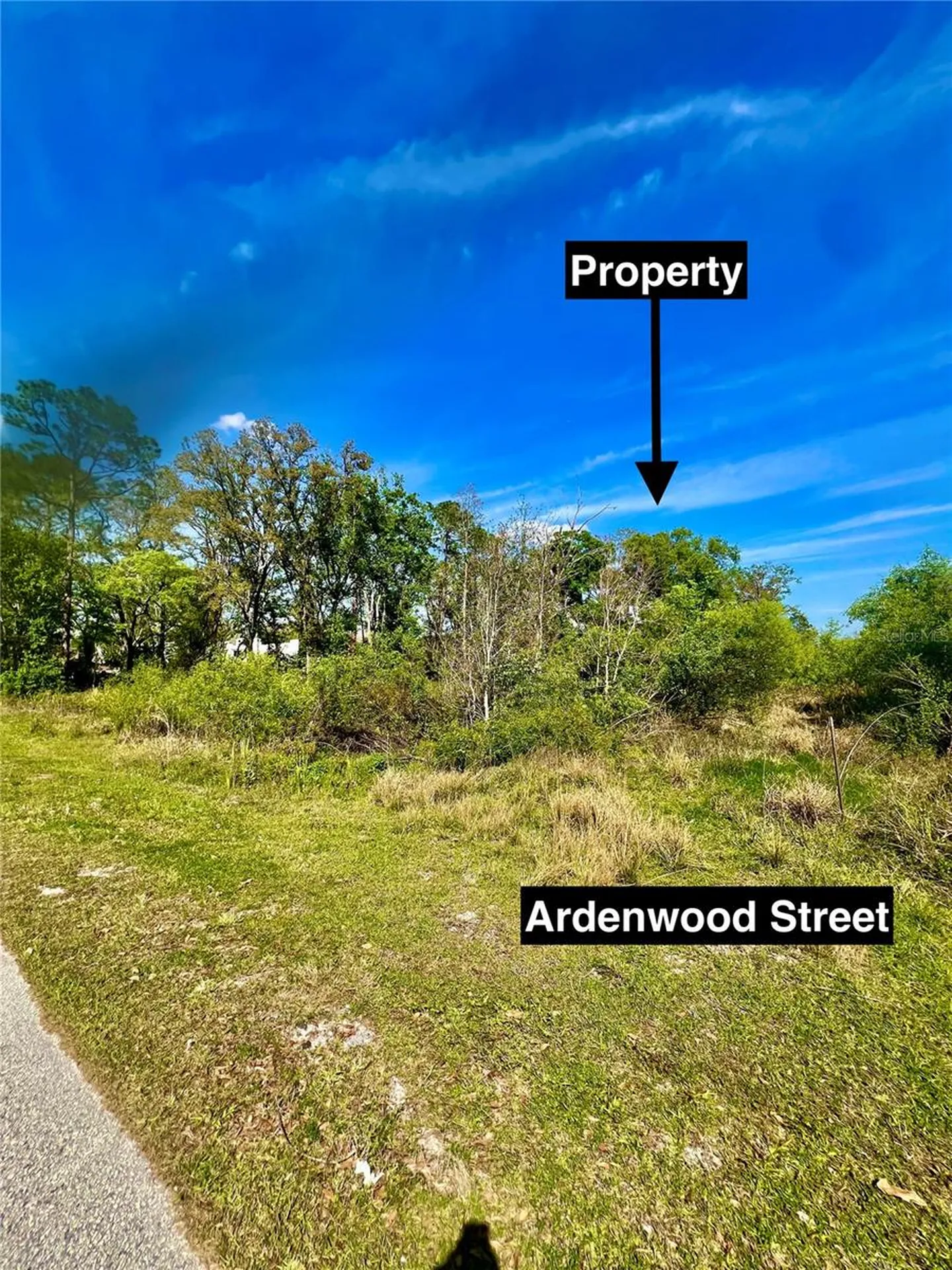 Ardenwood Street Tampa FL 33625