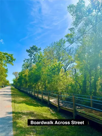 Ardenwood Street Tampa FL 33625