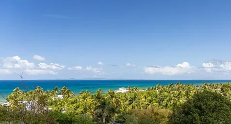 310 Bravos De Boston Vieques PR 00765