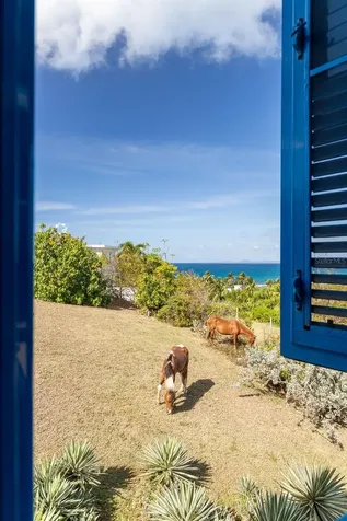 310 Bravos De Boston Vieques PR 00765