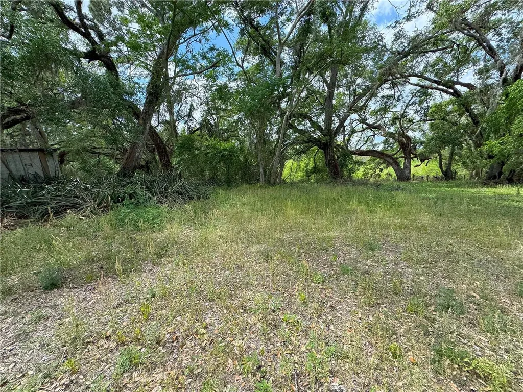 3221 Dublin Road Dade City FL 33523