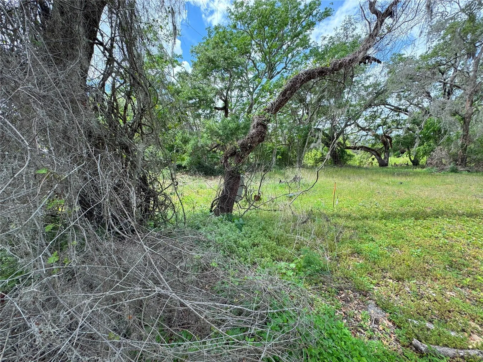 3221 Dublin Road Dade City FL 33523