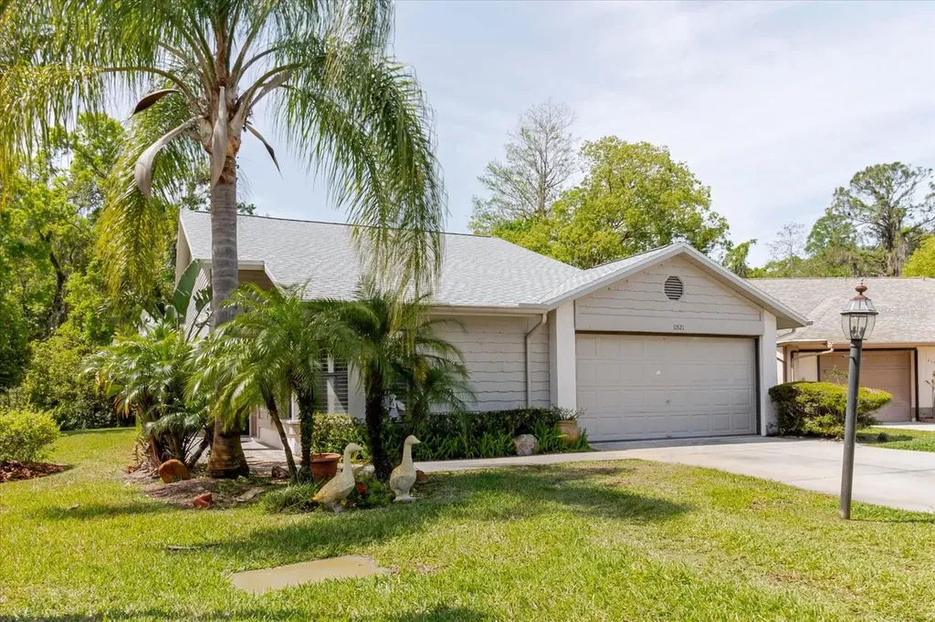 11521 Rose Tree Drive New Port Richey FL 34654