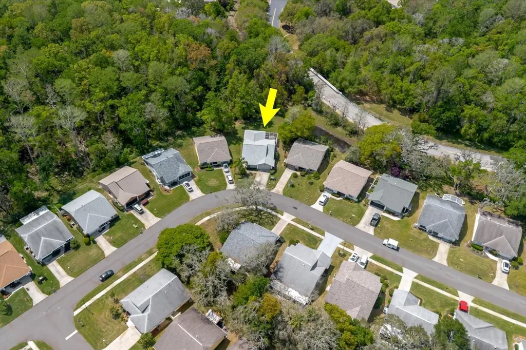 11521 Rose Tree Drive New Port Richey FL 34654