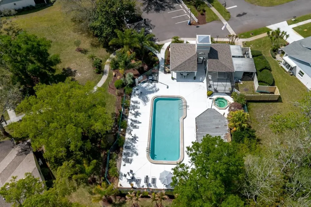 11521 Rose Tree Drive New Port Richey FL 34654