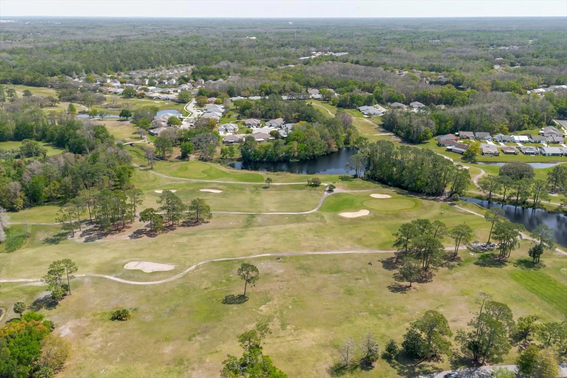 11521 Rose Tree Drive New Port Richey FL 34654