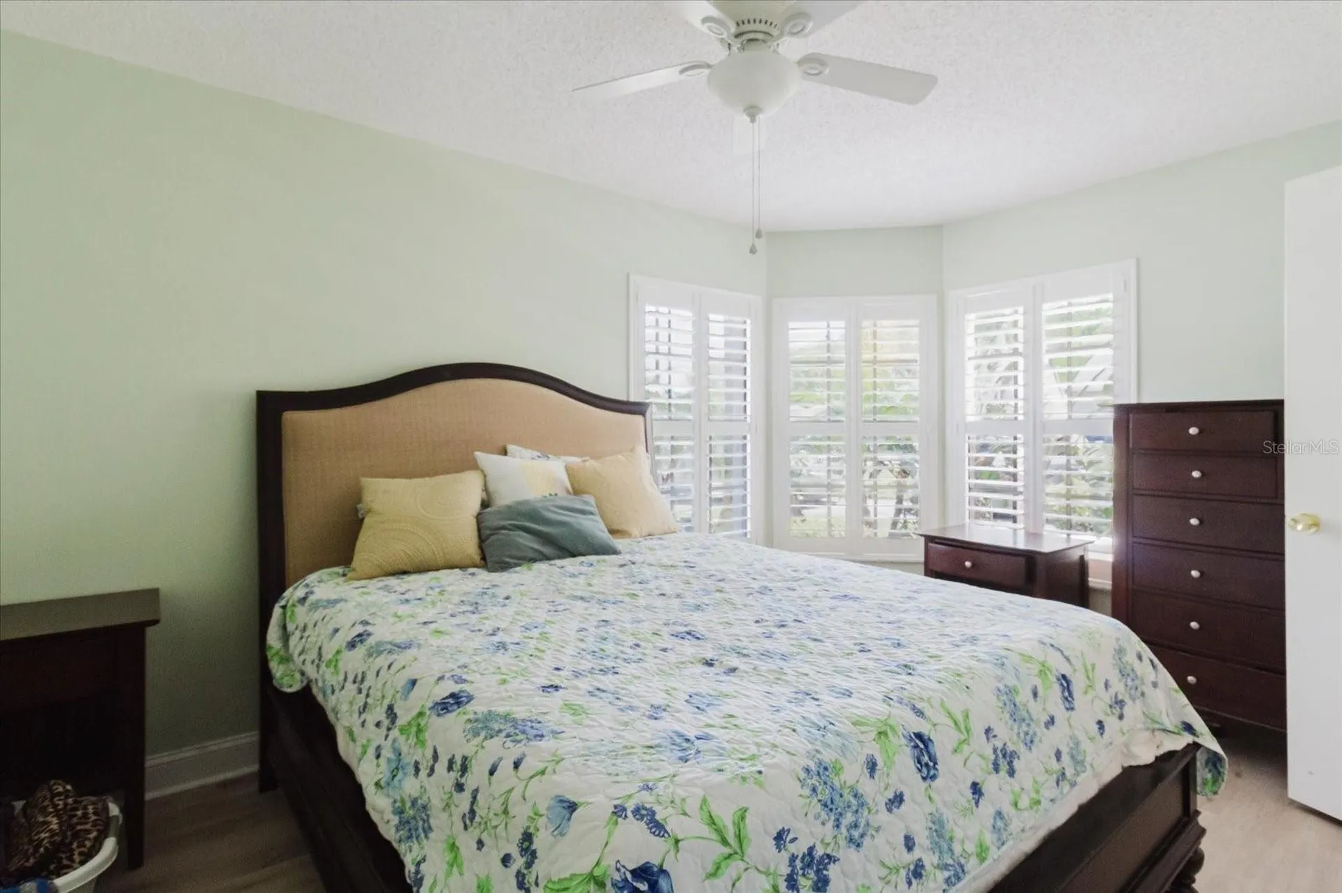 11521 Rose Tree Drive New Port Richey FL 34654