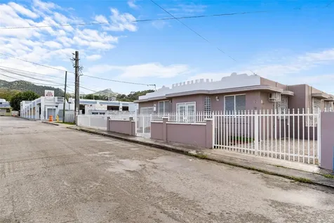 172 Calle Luis Barreras Cayey PR 00736