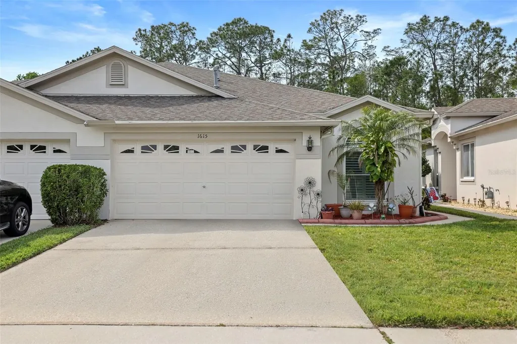1615 Sassafras Drive Wesley Chapel FL 33543