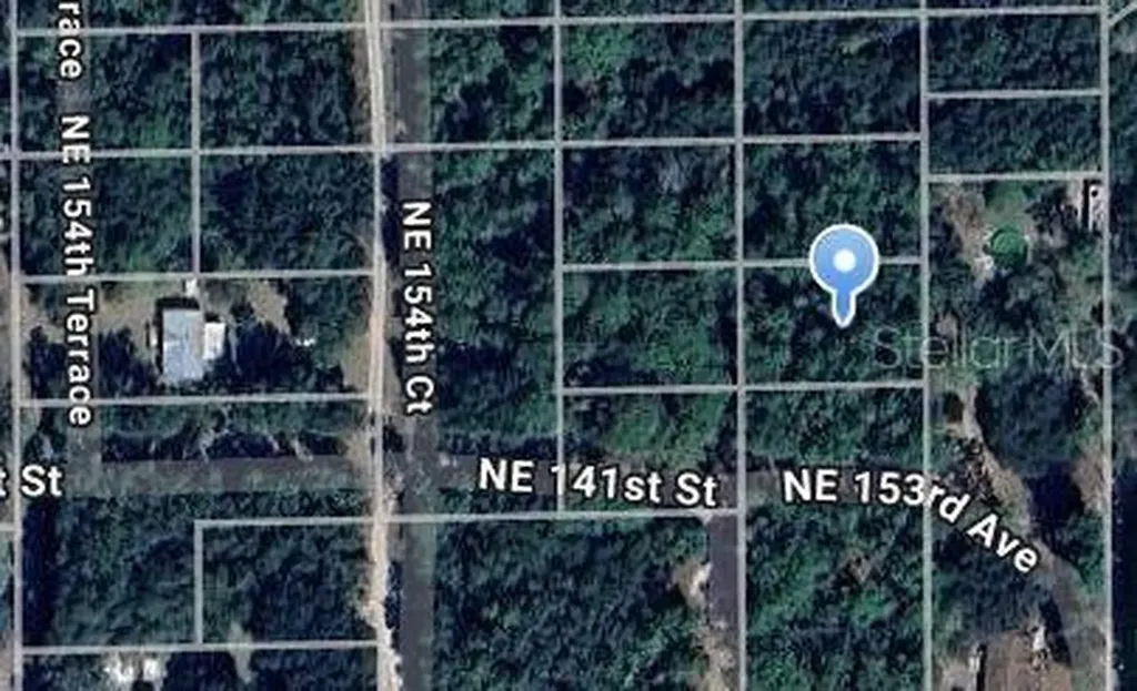 NE 153rd Avenue Fort Mc Coy FL 32134