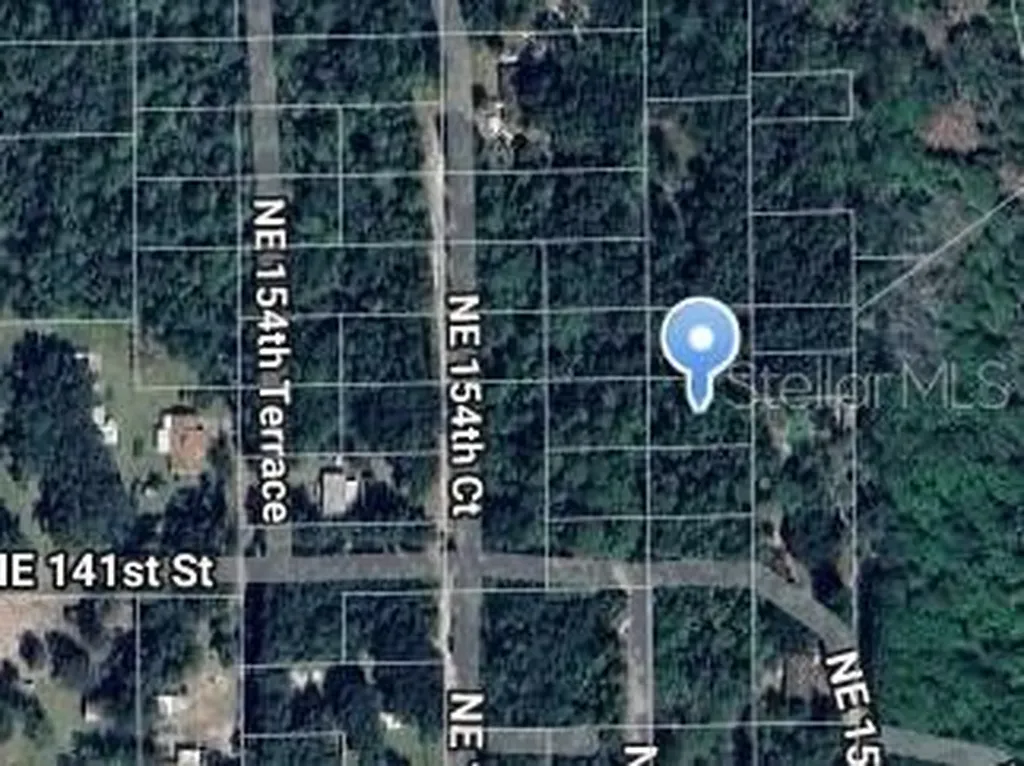 NE 153rd Court Fort Mc Coy FL 32134
