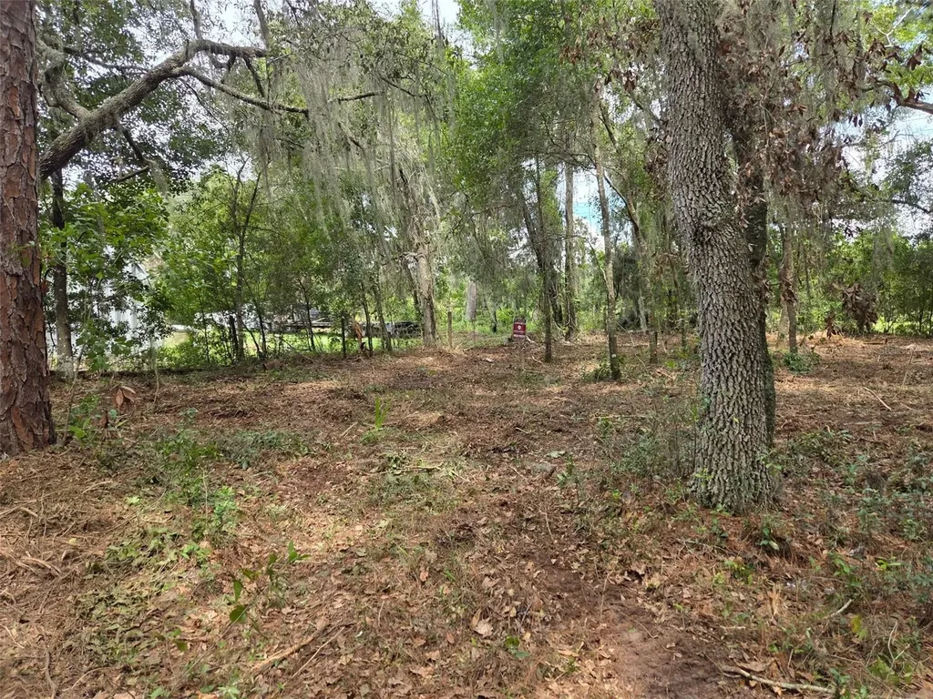 8903 SE 225th Drive Hawthorne FL 32640