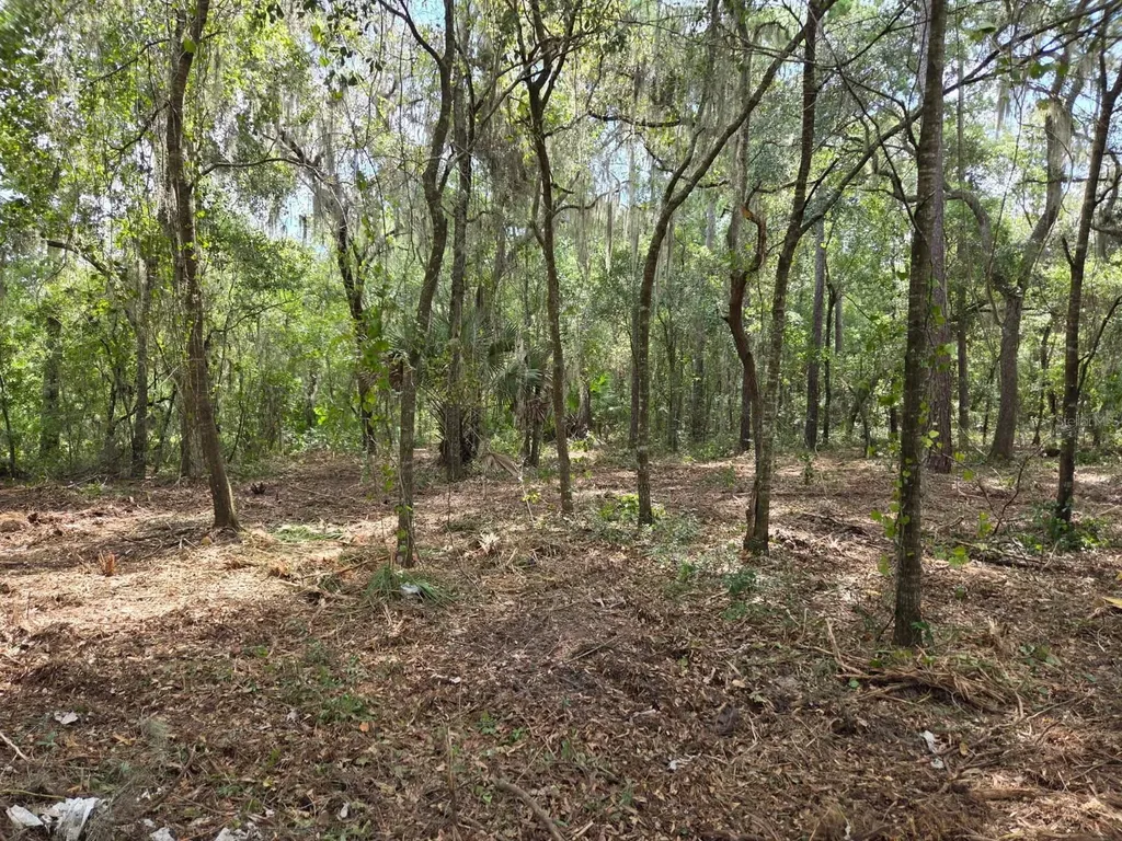 8903 SE 225th Drive Hawthorne FL 32640