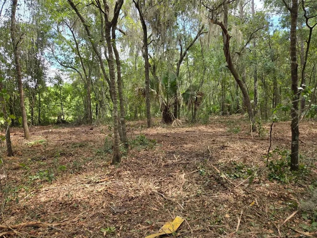 8903 SE 225th Drive Hawthorne FL 32640