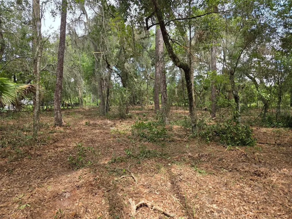 8903 SE 225th Drive Hawthorne FL 32640