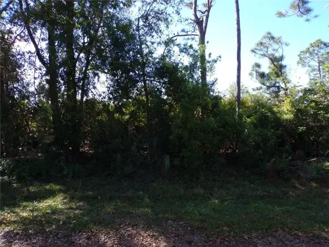 26251 Hapsburg Road Punta Gorda FL 33955