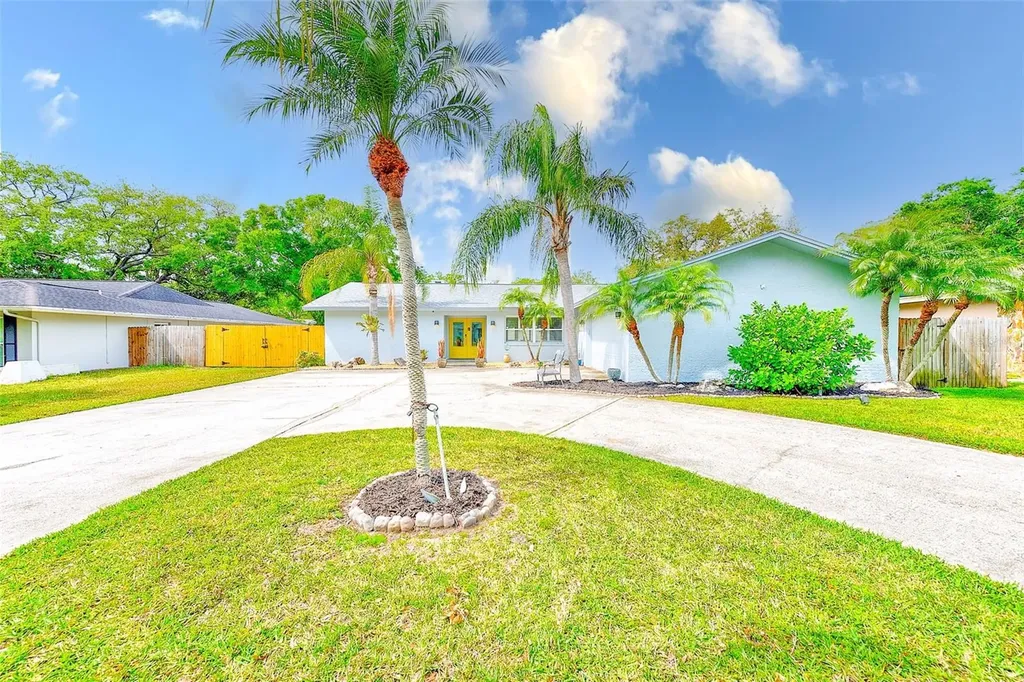 921 Woodland Drive Palm Harbor FL 34683