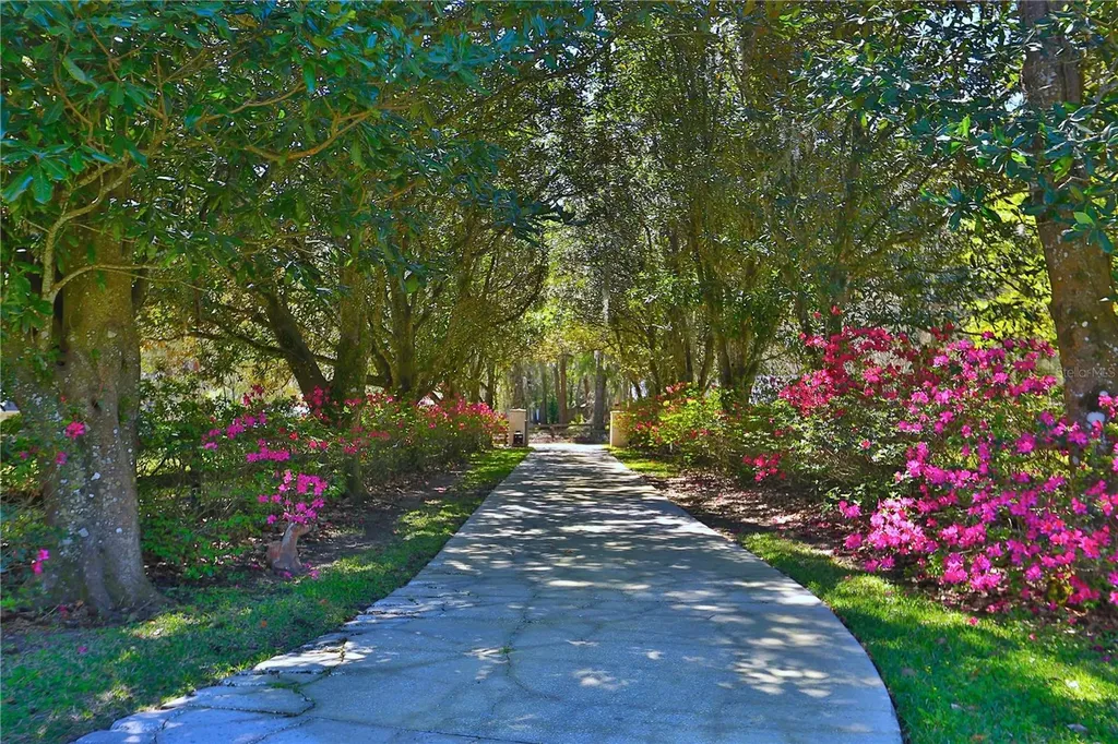 2881 SE 41st Place Ocala FL 34480