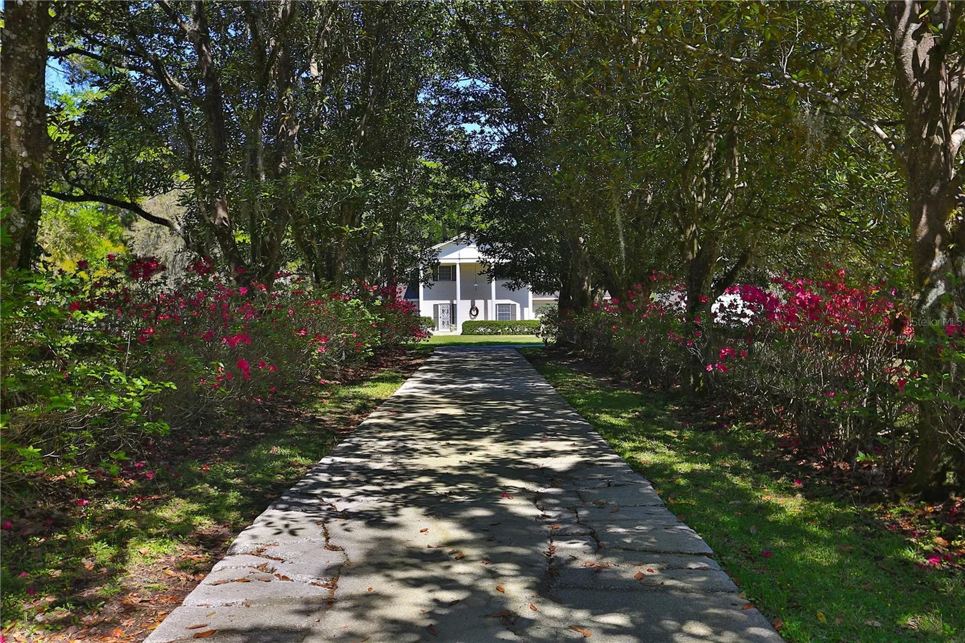 2881 SE 41st Place Ocala FL 34480