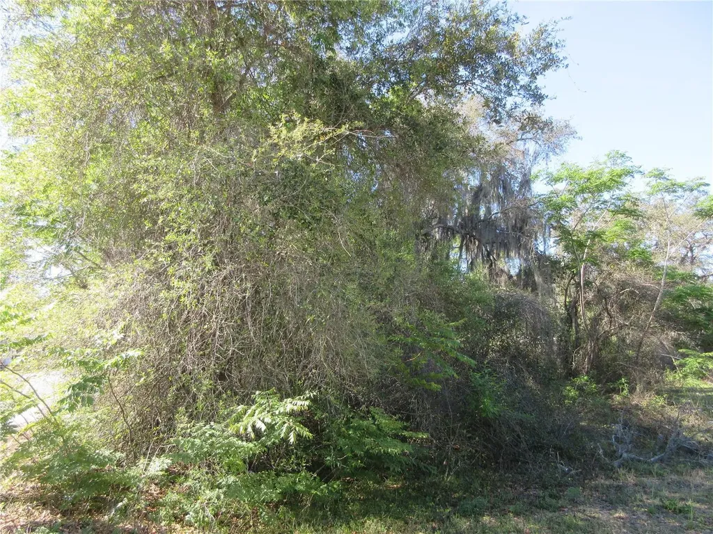 0 SE 188th Avenue Silver Springs FL 34488