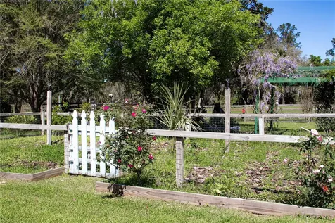 12490 NW Highway 320 Micanopy FL 32667