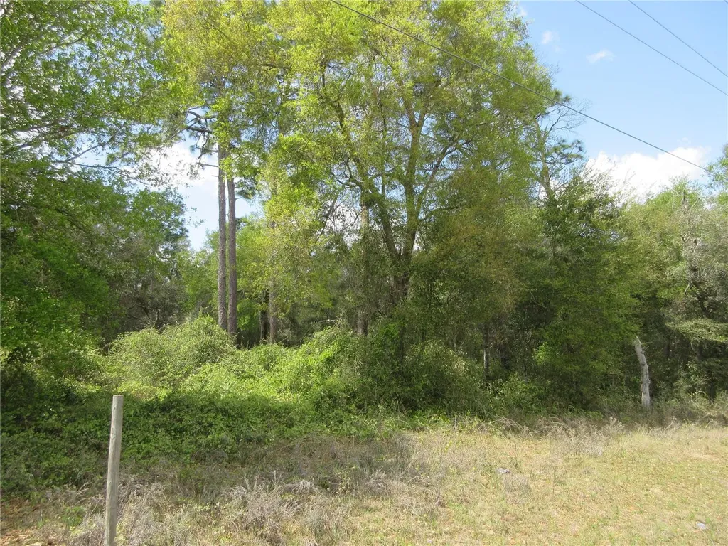 0 SE 180 Avenue Road Ocklawaha FL 32179