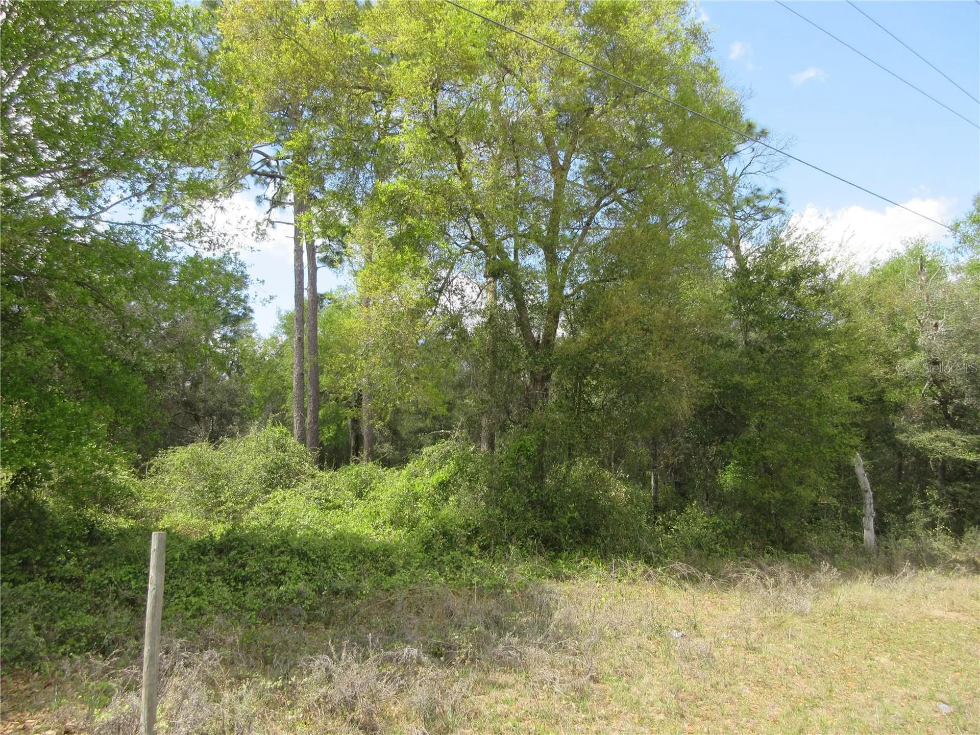 0 SE 180 Avenue Road Ocklawaha FL 32179