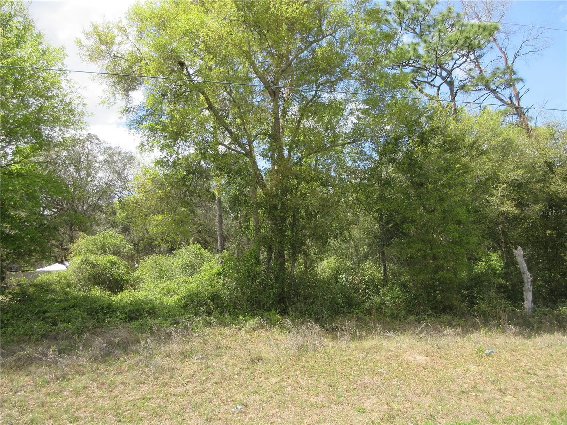 0 SE 180 Avenue Road Ocklawaha FL 32179
